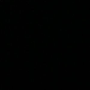 Meet your Posher, Ellen